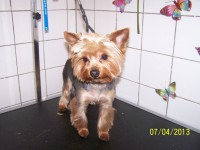 /album/fotogaleria/salon-026-jpg/